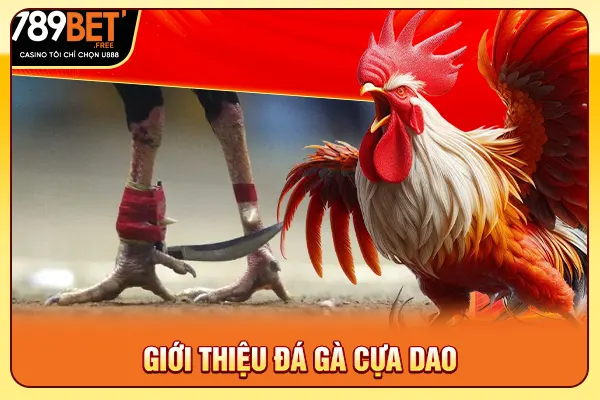 Giới thiệu đá gà cựa dao Giới thiệu đá gà cựa dao