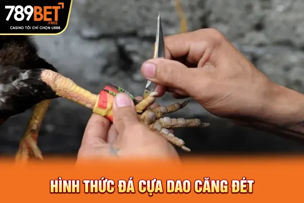Hình thức đá cựa dao căng đét Hình thức đá cựa dao căng đét