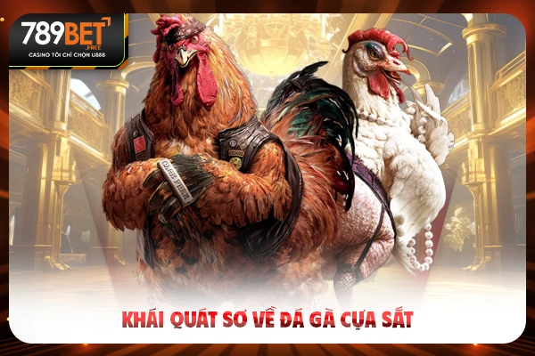 Khái quát sơ về đá gà cựa sắt Khái quát sơ về đá gà cựa sắt