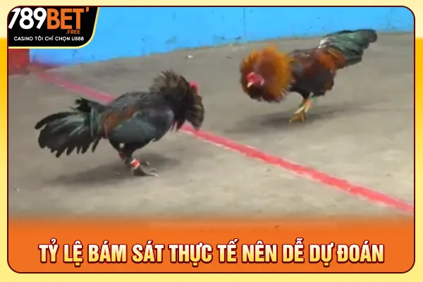Tỷ lệ bám sát thực tế nên dễ dự đoán Tỷ lệ bám sát thực tế nên dễ dự đoán